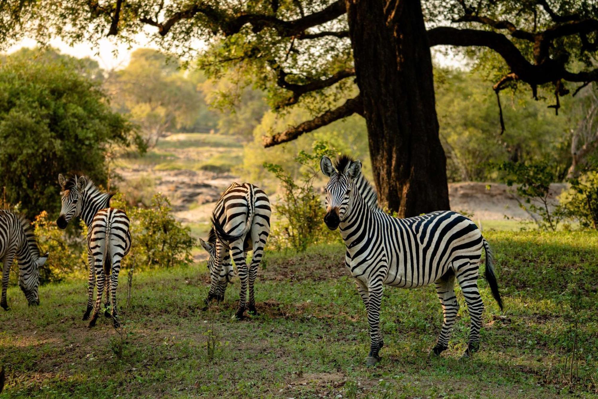 Radisson Blu Mosi-Oa-Tunya Livingstone Resort Exteriér fotografie